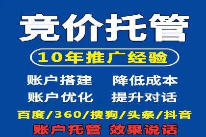 成功SEM服务案例：优化广告投放